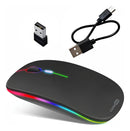 Mouse Sem Fio Recarregável Wireless Optico Led Rgb 2.4ghz Bluetooth Ergonômico Sem Fio Para Pc Desktop Notebook Tablet Smartphone Casenn Preto